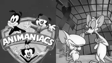 Falleció a los 68 años Barry Caldwell, creador de "Pinky y Cerebro" Falleció a los 68 años Barry Caldwell, creador de "Pinky y Cerebro"