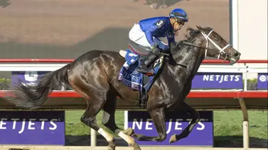 Yegua ganadora de un Premio Eclipse reaparece en el Distaff Stakes G3 en Nueva York Yegua ganadora de un Premio Eclipse reaparece en el Distaff Stakes G3 en Nueva York