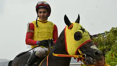 ¡Análisis de lujo! Juan Pablo Paoloni revela el reporte oficial de un invicto ejemplar importado para la R15 ¡Análisis de lujo! Juan Pablo Paoloni revela el reporte oficial de un invicto ejemplar importado para la R15