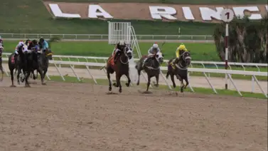 Datos para apostar y ganar en MeridianoBet Datos para apostar y ganar en MeridianoBet