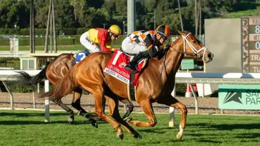 Por el doblete: Queen Maxima con Juan Hernández en los estribos lista para conquistar el Monrovia Stakes (G3) Por el doblete: Queen Maxima con Juan Hernández en los estribos lista para conquistar el Monrovia Stakes (G3)