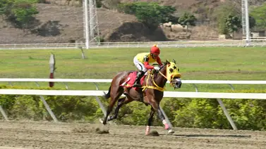 El factor estadístico en La Rinconada: Los números que amenazan el favoritismo de la importada I'm In The Mood El factor estadístico en La Rinconada: Los números que amenazan el favoritismo de la importada I'm In The Mood