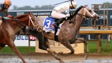 Duelo de altura: Crazy Mason vs Saudi Crown en el Commonwealth (G3) por $350,000 en Keeneland Duelo de altura: Crazy Mason vs Saudi Crown en el Commonwealth (G3) por $350,000 en Keeneland