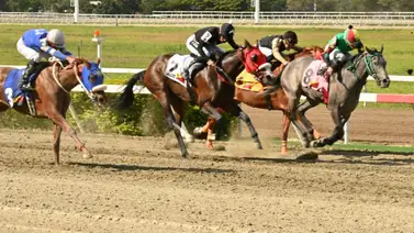 ¿Qué dicen los números? Los mejores "Ratings" para sellar el 5y6 de la reunión 15 ¿Qué dicen los números? Los mejores "Ratings" para sellar el 5y6 de la reunión 15