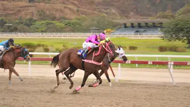 La fija de los audaces: Por qué esta yegua con 44 actuaciones sin ganar es el "batacazo" ideal para la próxima jornada La fija de los audaces: Por qué esta yegua con 44 actuaciones sin ganar es el "batacazo" ideal para la próxima jornada