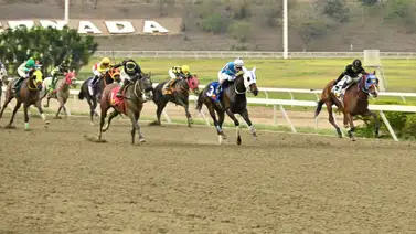 El ajuste no miente: El dato de pantalones largos que garantiza el éxito dominical en La Rinconada El ajuste no miente: El dato de pantalones largos que garantiza el éxito dominical en La Rinconada