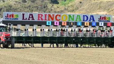 ¡Directo a la taquilla! Con el ajuste de la línea de Gaceta Hípica podrá pagar unos buenos dividendos en el 5y6 dominical ¡Directo a la taquilla! Con el ajuste de la línea de Gaceta Hípica podrá pagar unos buenos dividendos en el 5y6 dominical