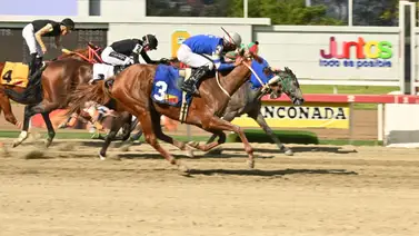 Con este ajuste: Esta yegua podría dar la campanada en la primera del loto hípico en La Rinconada Con este ajuste: Esta yegua podría dar la campanada en la primera del loto hípico en La Rinconada