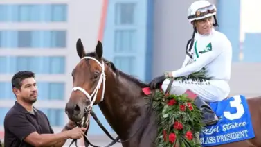 ¡Última hora! Class President ha sido retirado del Blue Grass Stakes (G1) por esta razón ¡Última hora! Class President ha sido retirado del Blue Grass Stakes (G1) por esta razón