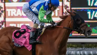 She Feels Pretty, multimillonaria y campeona de grama ha sido retirada oficialmente de las pistas She Feels Pretty, multimillonaria y campeona de grama ha sido retirada oficialmente de las pistas