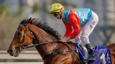 El mejor del mundo: Ka Ying Rising, listo para su victoria 19 consecutiva en la Copa Sprint (Grupo 2) El mejor del mundo: Ka Ying Rising, listo para su victoria 19 consecutiva en la Copa Sprint (Grupo 2)