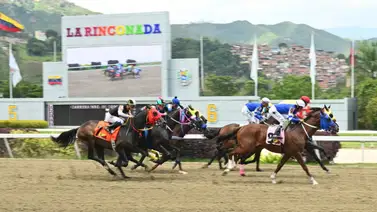 R15: Los caballos que lucen una condición impecable y una jugada larga antes de la partida en La Rinconada R15: Los caballos que lucen una condición impecable y una jugada larga antes de la partida en La Rinconada