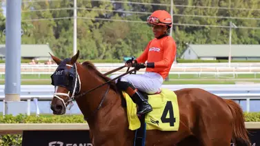 ¿Por qué la monta de Yolber Torres este viernes en Gulfstream Park es considerada una torre de 7/5? ¿Por qué la monta de Yolber Torres este viernes en Gulfstream Park es considerada una torre de 7/5?