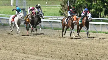 La quinta válida bajo la lupa: El nombre que genera consenso entre los especialistas hípicos en La Rinconada La quinta válida bajo la lupa: El nombre que genera consenso entre los especialistas hípicos en La Rinconada