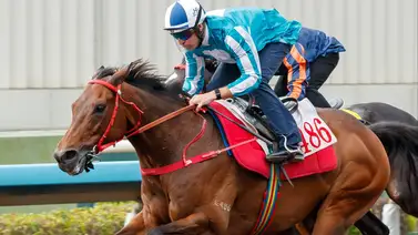 Romantic Warrior impresiona en su preparación para el FWD Champions Day Romantic Warrior impresiona en su preparación para el FWD Champions Day