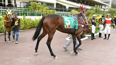Zio Mo ante el desafío de la sexta válida: tres factores clave para el domingo en La Rinconada Zio Mo ante el desafío de la sexta válida: tres factores clave para el domingo en La Rinconada