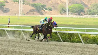 ¡Mira, es contigo! El ajuste de este ejemplar indica que puede tumbar los cuadros del 5y6 en La Rinconada ¡Mira, es contigo! El ajuste de este ejemplar indica que puede tumbar los cuadros del 5y6 en La Rinconada