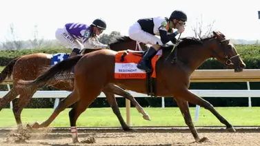 ¡Salud y a celebrar! A Fine Chardonnay se reencuentra con el triunfo en el Beaumont Stakes (G2) de Keeneland ¡Salud y a celebrar! A Fine Chardonnay se reencuentra con el triunfo en el Beaumont Stakes (G2) de Keeneland