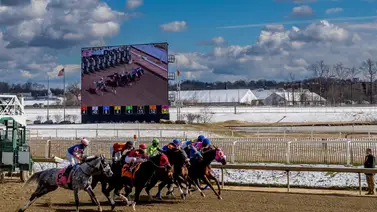¡Un arrase! Jinetes venezolanos ganan cinco de siete carreras en este hipódromo en Estados Unidos ¡Un arrase! Jinetes venezolanos ganan cinco de siete carreras en este hipódromo en Estados Unidos