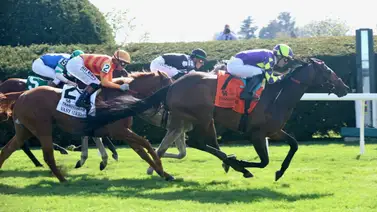 ¡El Mago lo vuelve a hacer! Remember Mamba con José Ortiz sigue invicto en el Transylvania Stakes (G3T) en Keeneland ¡El Mago lo vuelve a hacer! Remember Mamba con José Ortiz sigue invicto en el Transylvania Stakes (G3T) en Keeneland