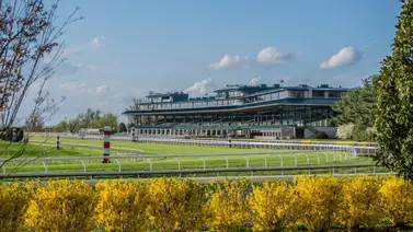 Pronósticos Keeneland: picks gratis y el dato clave para el sábado 4 de abril Pronósticos Keeneland: picks gratis y el dato clave para el sábado 4 de abril