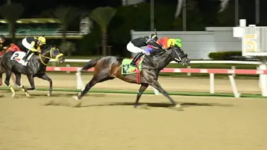 Conoce lo que le sucedió a Juan Valdez Conoce lo que le sucedió a Juan Valdez