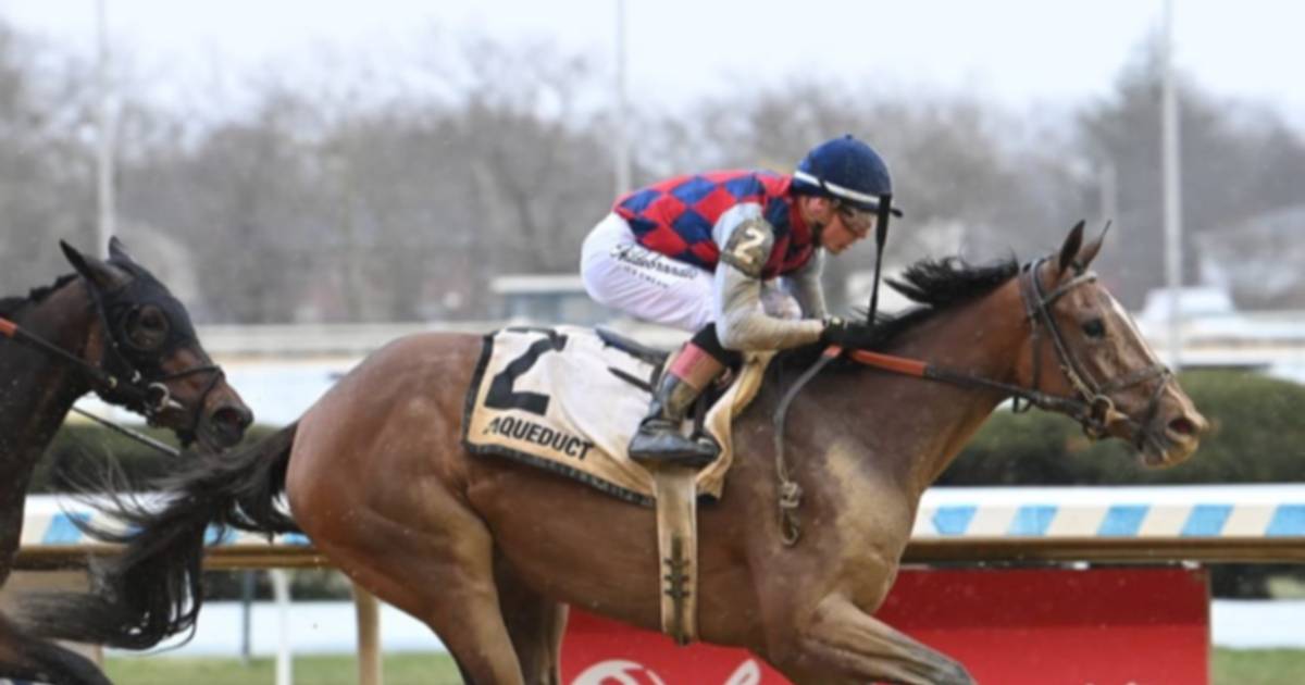 EVENTO HÍPICO: CLASIFICATORIOS KENTUCKY DERBY Y OAKS