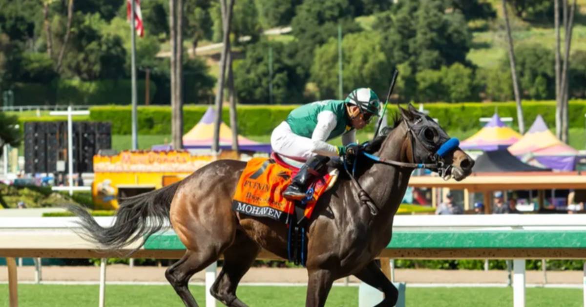 VICTORIA DEPORTIVA: MOHAVEN GANA EVENING JEWEL STAKES