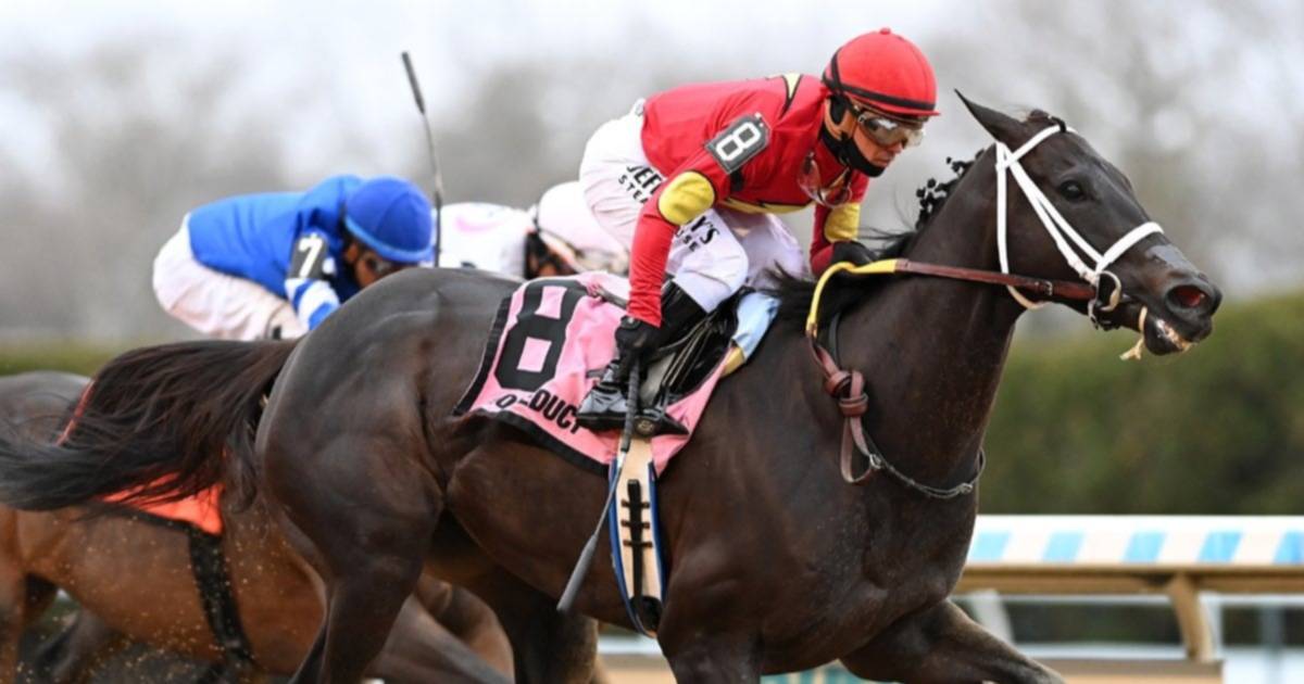 HIPÓDROMO AQUEDUCT: VICTORIA GRAMMY GIRL EN DISTAFF STAKES