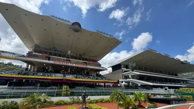 La emoción del deporte número uno del país no se detiene, esto abonó el 5y6 para este domingo 5-4-2026 La emoción del deporte número uno del país no se detiene, esto abonó el 5y6 para este domingo 5-4-2026