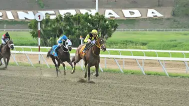 INH suspende a jockey ganador de meeting por dos semanas INH suspende a jockey ganador de meeting por dos semanas