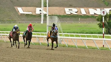 Cuatro entrenadores multados en la reunión 15 por el INH Cuatro entrenadores multados en la reunión 15 por el INH