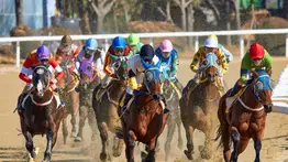 ¡Que molleja primo! Jockey zuliano alcanza esta cifra récord en su historial en Estados Unidos