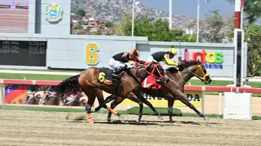 La importada Farolera a derrochar su clase en el XVIII Clásico Manuel Fonseca Arroyal (GIII) La importada Farolera a derrochar su clase en el XVIII Clásico Manuel Fonseca Arroyal (GIII)