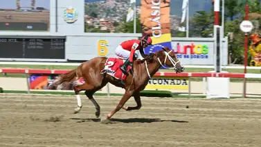 ¡Atropellada Imparable! Bunker busca el desquite en la milla del Clásico Juan Vicente Tovar (GIII) ¡Atropellada Imparable! Bunker busca el desquite en la milla del Clásico Juan Vicente Tovar (GIII)