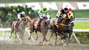Duelo de poder en la milla: Siete purasangres tras la gloria del Clásico Federico Carmona Perera (GII) Duelo de poder en la milla: Siete purasangres tras la gloria del Clásico Federico Carmona Perera (GII)
