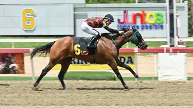 Superioridad en el cronómetro: Mother Carmen sale por la gloria en el Clásico Peggy Azqueta (GII) Superioridad en el cronómetro: Mother Carmen sale por la gloria en el Clásico Peggy Azqueta (GII)