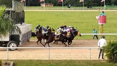 El factor Peterose: Clase y velocidad para el Clásico Hipódromo Nacional de Valencia El factor Peterose: Clase y velocidad para el Clásico Hipódromo Nacional de Valencia