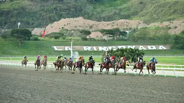 Luego de 119 días vuelve a la pista el ganador del Clásico Internacional Simón Bolívar GI Luego de 119 días vuelve a la pista el ganador del Clásico Internacional Simón Bolívar GI