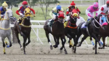 Pofi: La hija de un triunfador del Simón Bolívar que impresiona en sus aprontes previos Pofi: La hija de un triunfador del Simón Bolívar que impresiona en sus aprontes previos