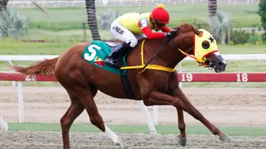 Preposition consigue una marca histórica: La exhibición de velocidad que dejó sin palabras a la afición hípica Preposition consigue una marca histórica: La exhibición de velocidad que dejó sin palabras a la afición hípica