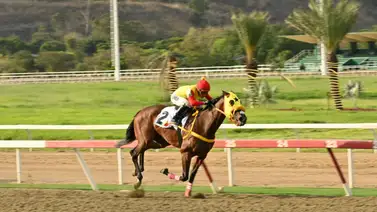 De casta internacional: El mismo abuelo de I’M In The Mood presenta nueva ficha en Caracas De casta internacional: El mismo abuelo de I’M In The Mood presenta nueva ficha en Caracas