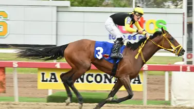 Sangre de campeona: Torrestrella irá por un reto épico en esta prestigiosa selectiva en La Rinconada Sangre de campeona: Torrestrella irá por un reto épico en esta prestigiosa selectiva en La Rinconada