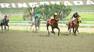 ¿Efecto gríngolas? El ajuste clave para el regreso del prospecto del Stud "Z.M" en La Rinconada ¿Efecto gríngolas? El ajuste clave para el regreso del prospecto del Stud "Z.M" en La Rinconada