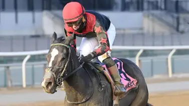 Hot Currency por los $200,000 del Fourstar Crook Stakes ante siete enemigas Hot Currency por los $200,000 del Fourstar Crook Stakes ante siete enemigas