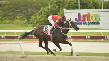 ¡Vuela de nuevo! Lo que comenta "El Águila" acerca de su reaparición para la R16 de La Rinconada ¡Vuela de nuevo! Lo que comenta "El Águila" acerca de su reaparición para la R16 de La Rinconada