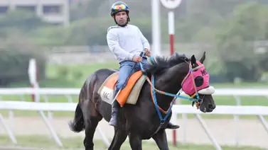 José Alejandro Rivero confía en su remate: “El final será clave para mis conducidas en La Rinconada” José Alejandro Rivero confía en su remate: “El final será clave para mis conducidas en La Rinconada”
