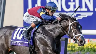 Cy Fair es la favorita para la ganar el Limestone Stakes (G3) un sprint en superficie de grama Cy Fair es la favorita para la ganar el Limestone Stakes (G3) un sprint en superficie de grama