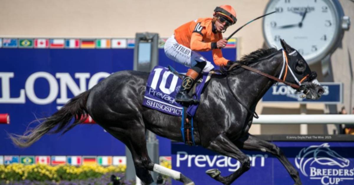 CABALLOS DE CARRERA: SHISOSPICY Y BENTORNADO RETORNAN A COMPETENCIA