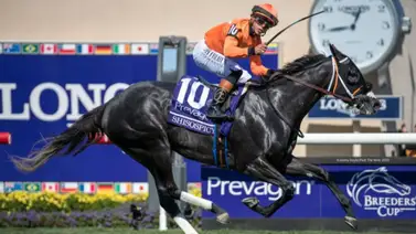 Esto dijo José Francisco D’Angelo sobre Shisospicy y Bentornato de cara a la presente temporada en Estados Unidos Esto dijo José Francisco D’Angelo sobre Shisospicy y Bentornato de cara a la presente temporada en Estados Unidos